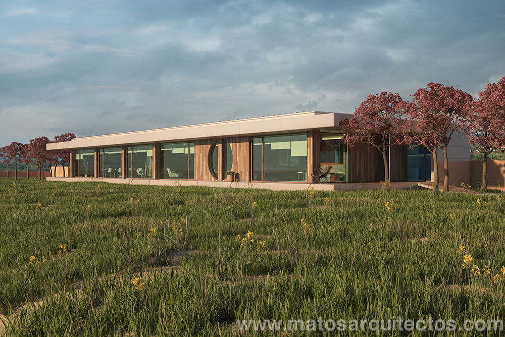 House by River side, Matos Architects Matos Architects Casas modernas Madeira maciça Multicolor