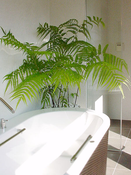 Plants/L, （有）ハートランド （有）ハートランド モダンスタイルの お風呂