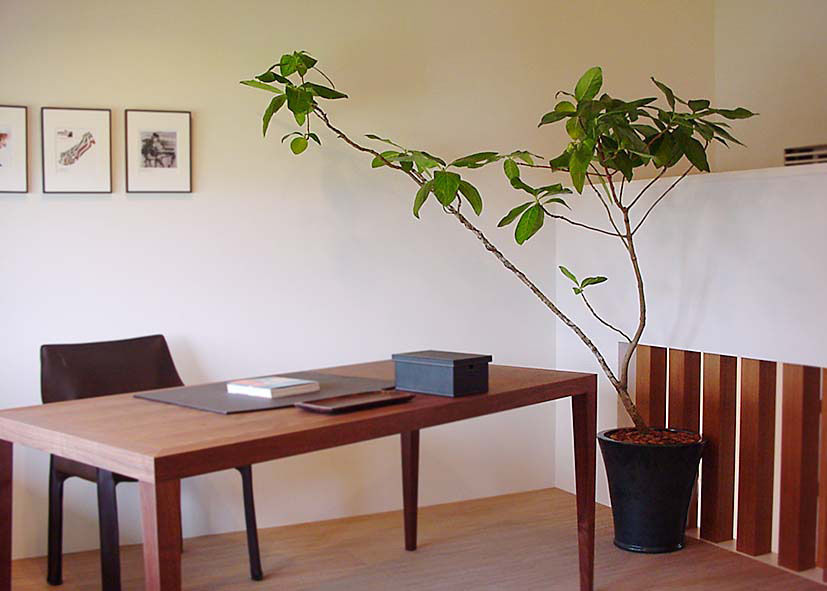 Plants/L, （有）ハートランド （有）ハートランド Modern Study Room and Home Office
