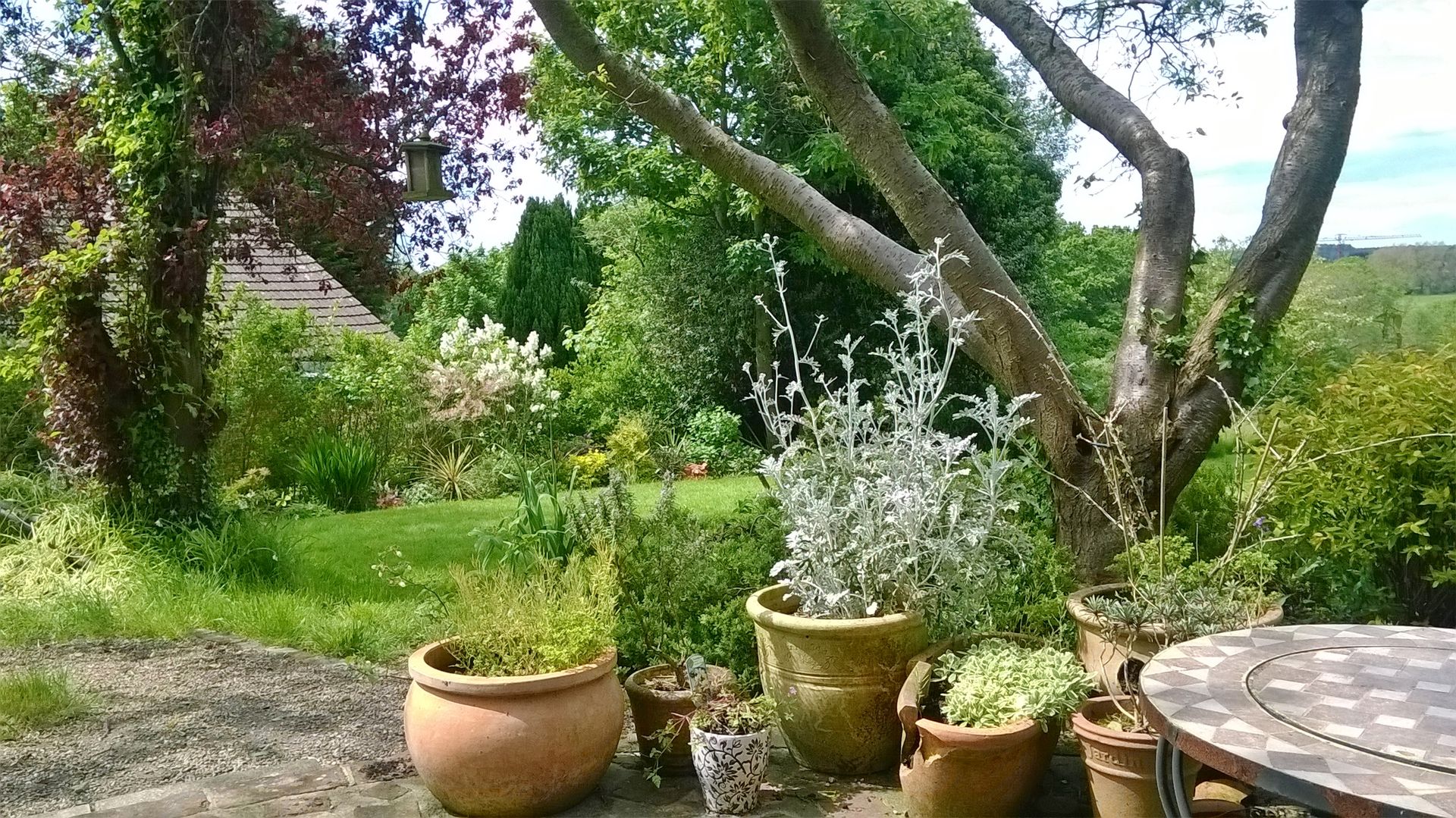 Country Cottage Garden Bandon Interior Design Сад в стиле кантри cottage garden,country garden,patio,pots and plants,terracotta pots,shrubs,garden border