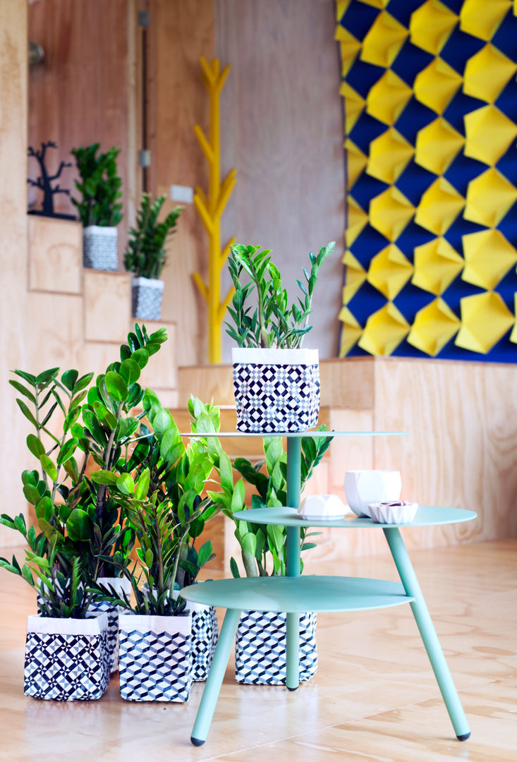 Die Zamioculcas – Zimmerplanze des Monats Juni 2016, Pflanzenfreude.de Pflanzenfreude.de Taman interior Interior landscaping