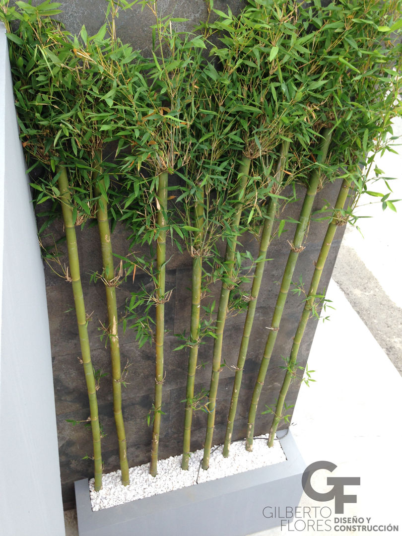 CAROLCO 2, GF ARQUITECTOS GF ARQUITECTOS Modern style gardens Bamboo