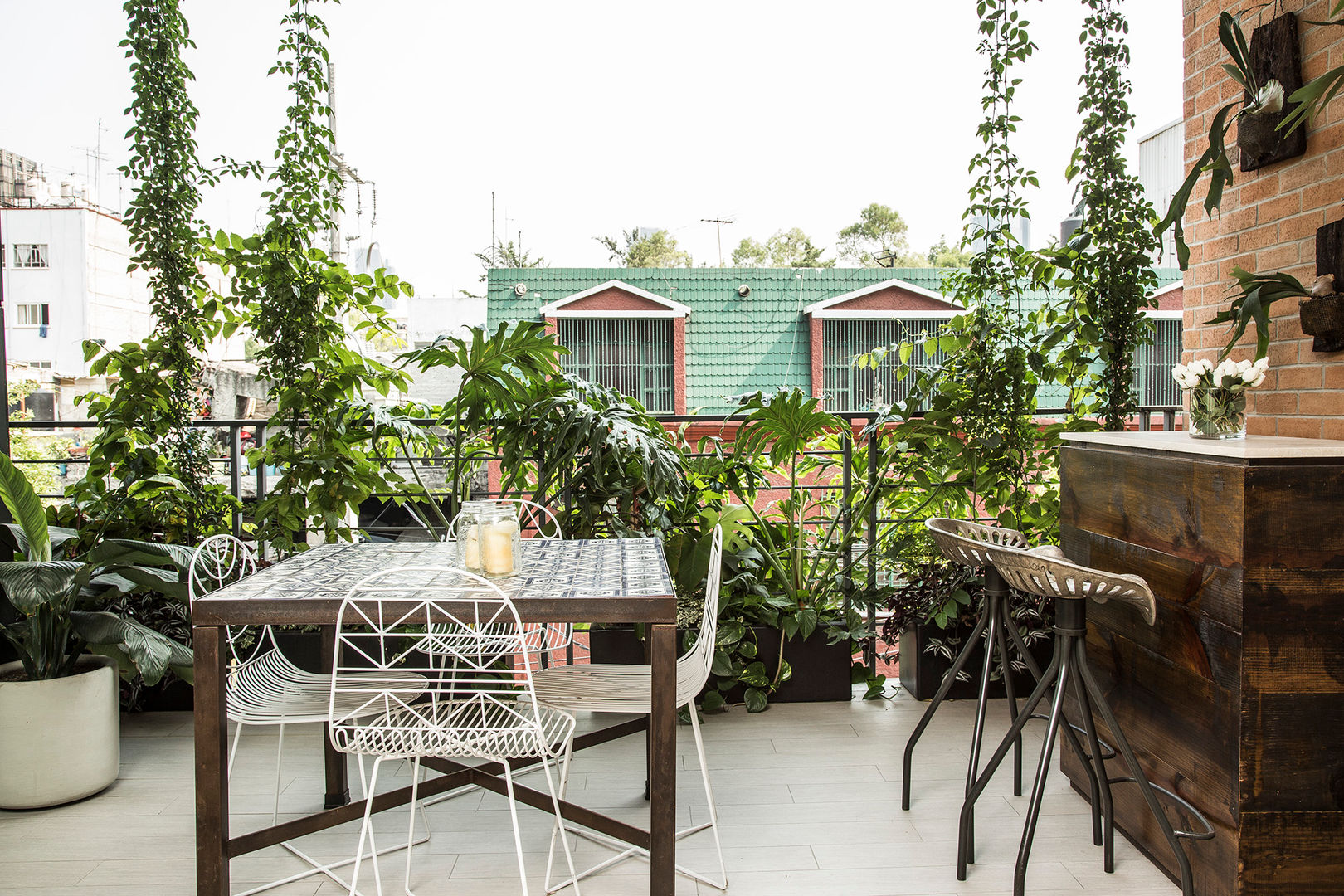 TERRAZA 2 homify Balcones y terrazas modernos Plantas y flores