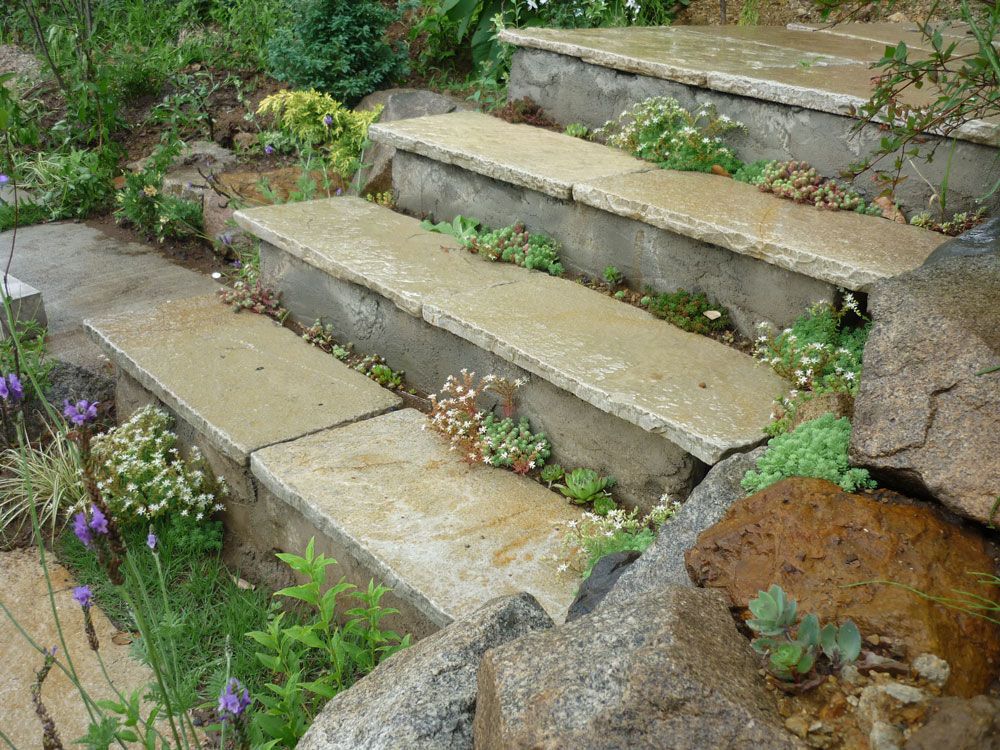 多肉植物の階段 株式会社ガーデンホリック カントリーな 庭 石 ベージュ 植木＆花