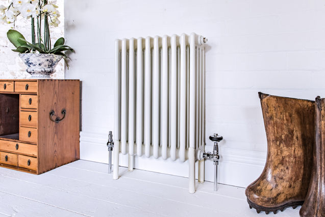 Bordo steel column radiator Feature Radiators Ogród wewnętrzny Żelazo/Stal Zieleń wewnątrz