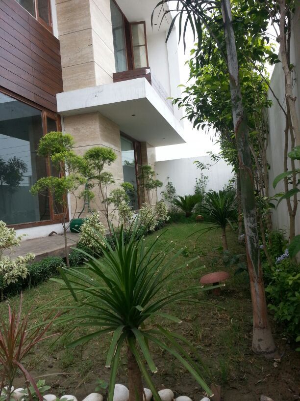 Residential interiors, Ingenious Ingenious Modern garden