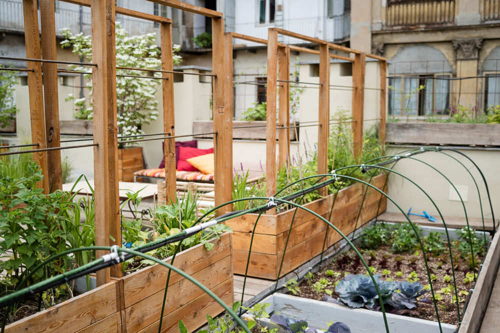 TERRAZZO Torino, marta carraro marta carraro Rustykalny balkon, taras i weranda