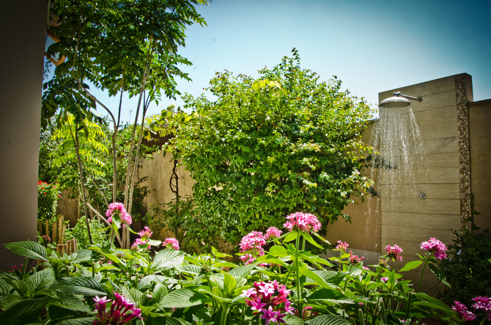 RESIDENCIA 02 - S. J. CAMPOS, Felipe Mascarenhas Paisagismo Felipe Mascarenhas Paisagismo Jardin rustique