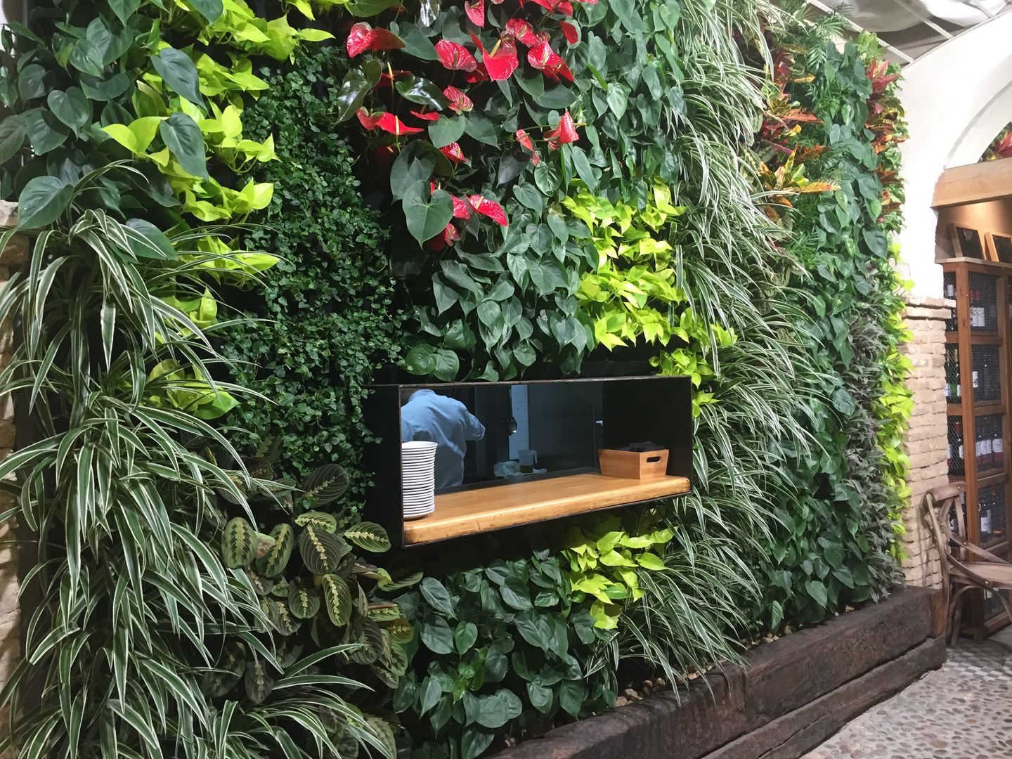 Jardín Vertical en Bar Pelayo, Terapia Urbana, Diseño de jardines verticales Terapia Urbana, Diseño de jardines verticales Сад в рустикальном стиле