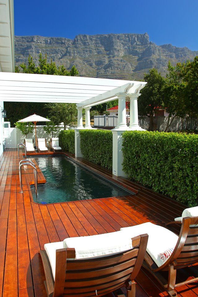 Formal hedging Red Daffodil Modern Pool