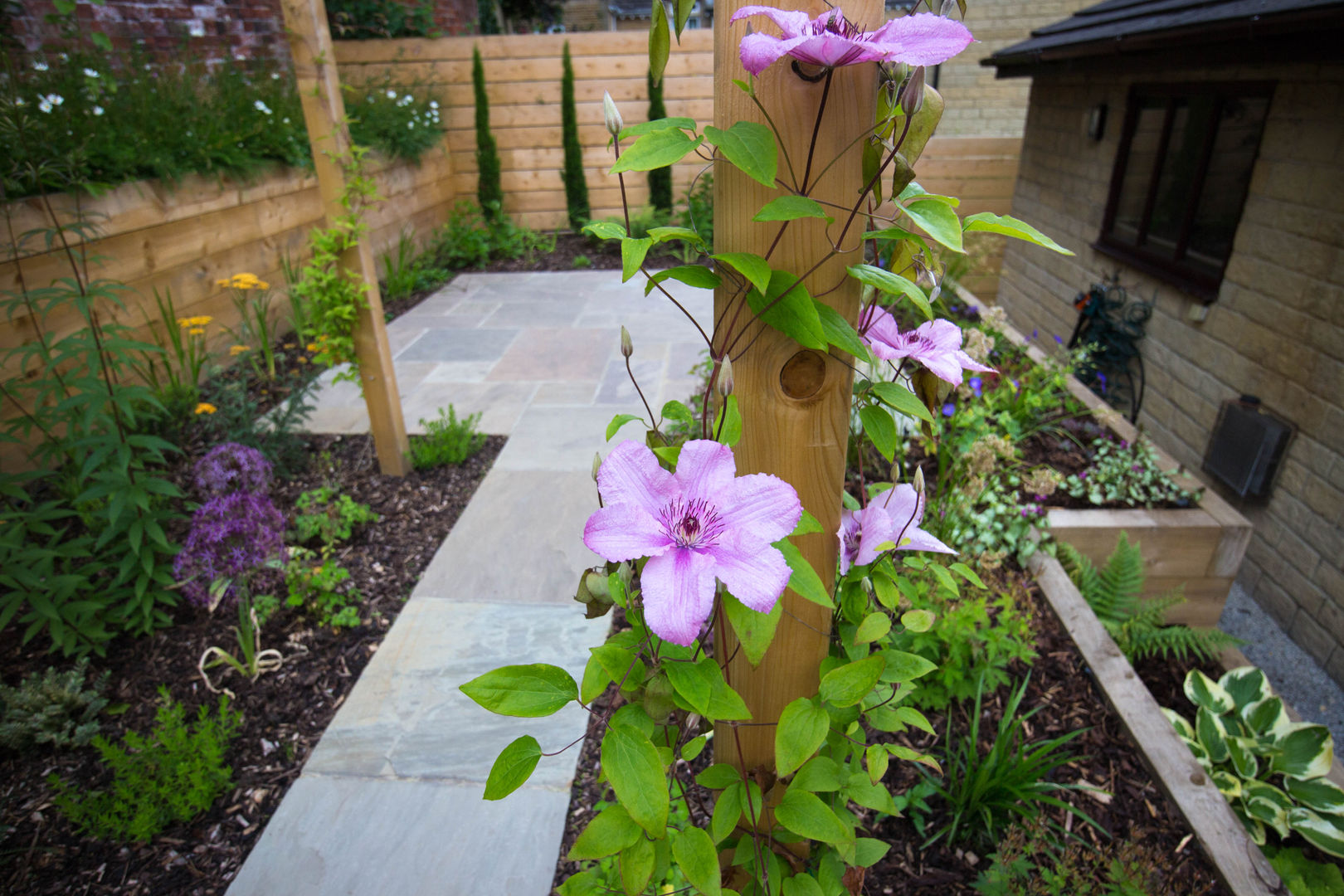 Modern Garden with a rustic twist Yorkshire Gardens モダンな庭 vining flowers