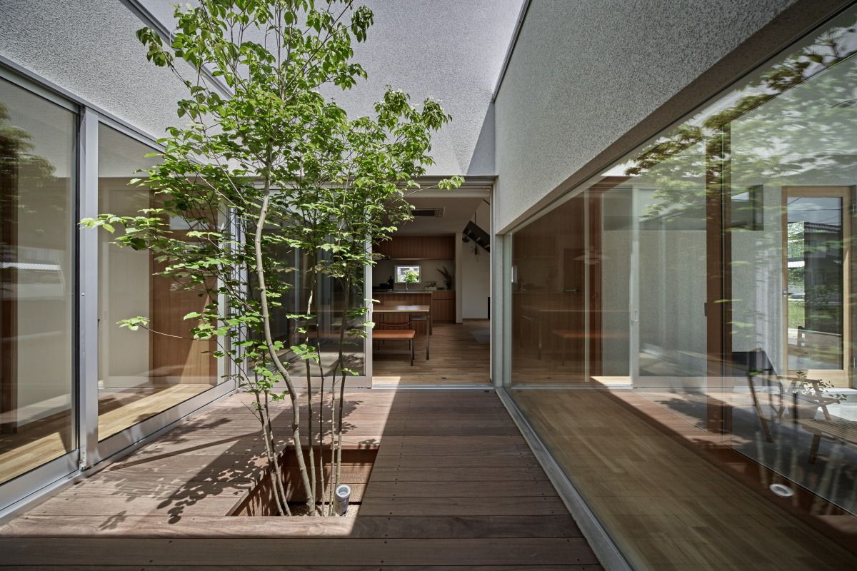 ホワイエのある家, toki Architect design office toki Architect design office Jardines modernos: Ideas, imágenes y decoración