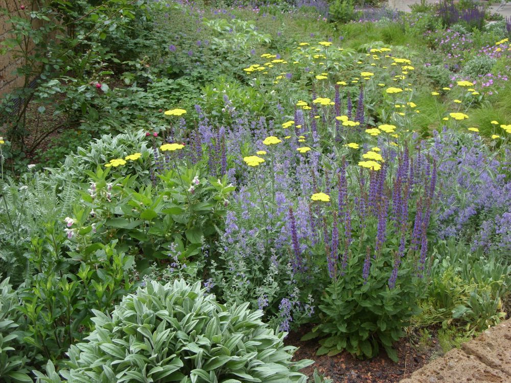 ServiceWohnen Coburg-Cortendorf, KAISER + KAISER - Visionen für Freiräume GbR KAISER + KAISER - Visionen für Freiräume GbR Jardines clásicos Plantas y flores