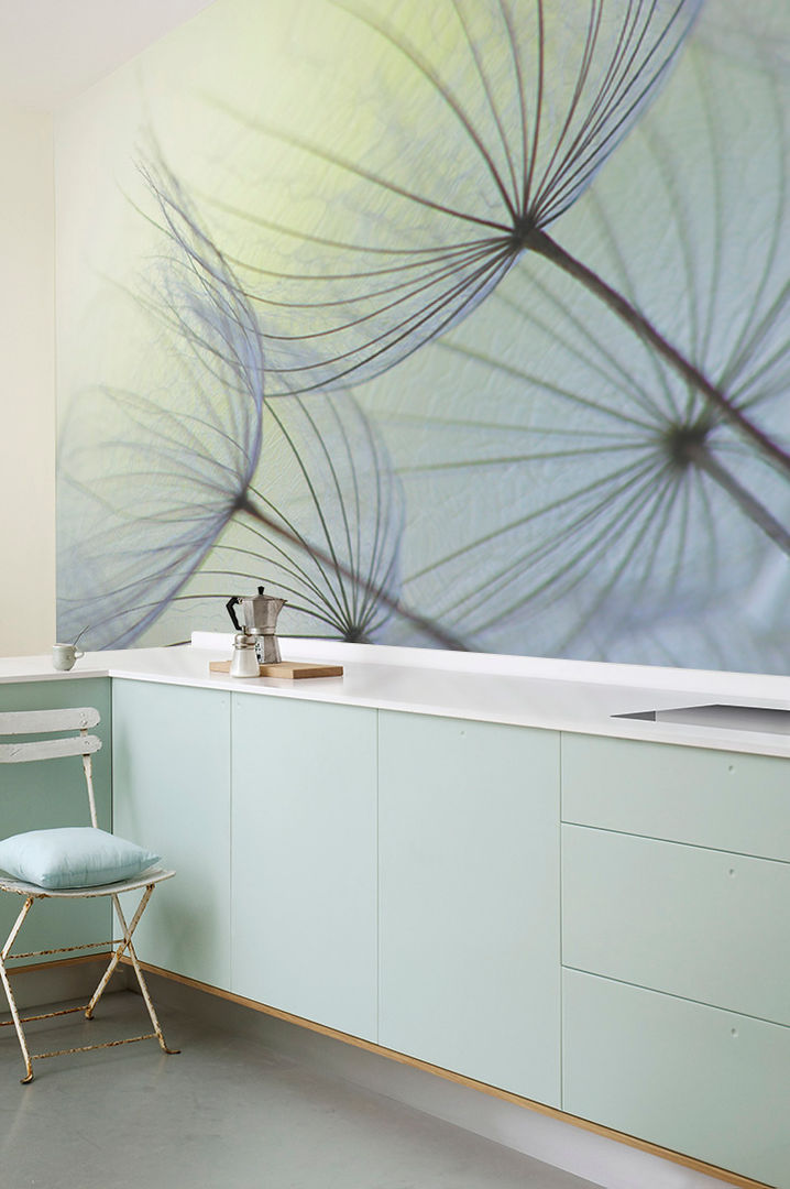 Dandelion Seeds Pixers Kitchen wall mural,wallpaper,dandelion,wind,nature,flower