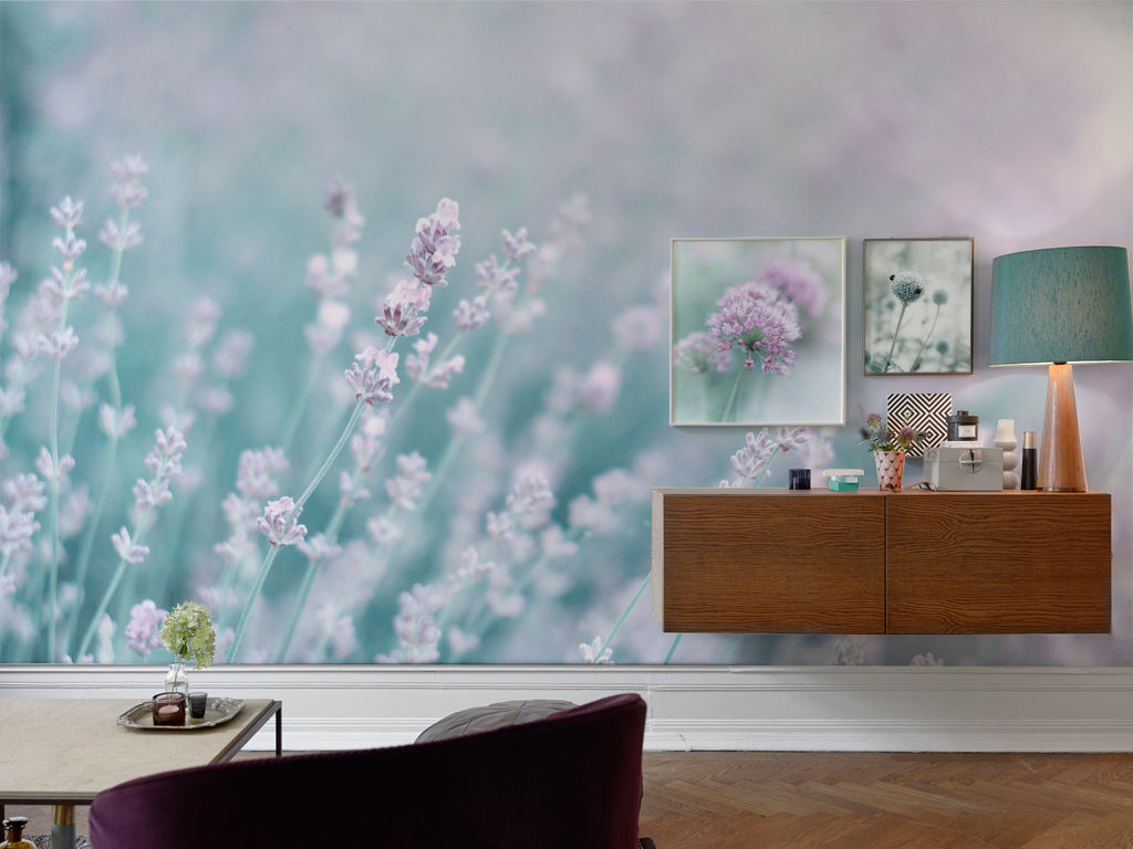 Lavender Pixers Moderne Wohnzimmer Mehrfarbig lavender,flowers,wall mural,wallpaper