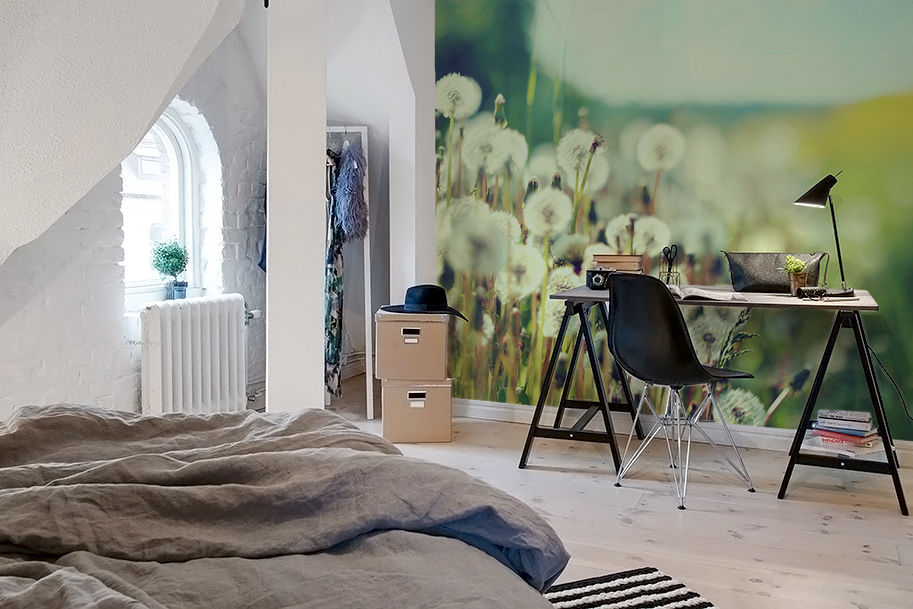 Dandelions Pixers Eclectic style bedroom dandelions,dandelion,meadow,wall mural,wallpaper