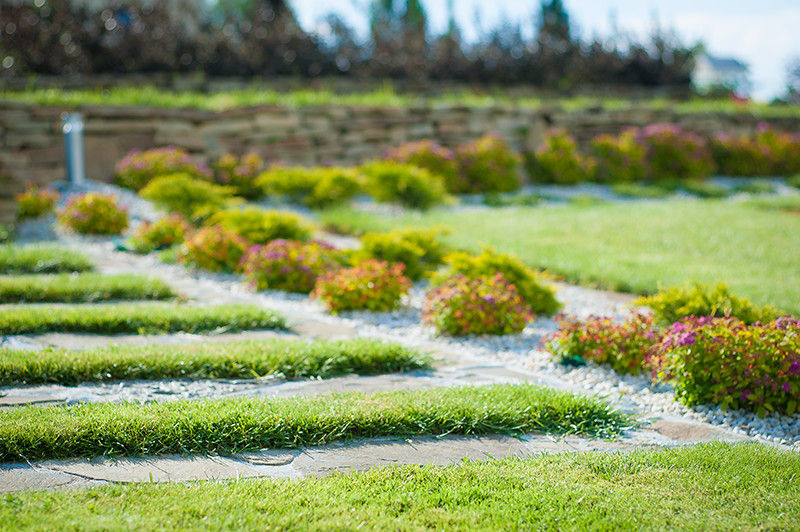 Ogród z pergolą na tarasie, Pracownia Projektowa Architektury Krajobrazu Januszówka Pracownia Projektowa Architektury Krajobrazu Januszówka Modern Garden