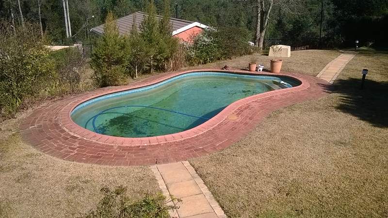 POOL TO POND CONVERSION, Paul's Plantscapes Landscapes Paul's Plantscapes Landscapes