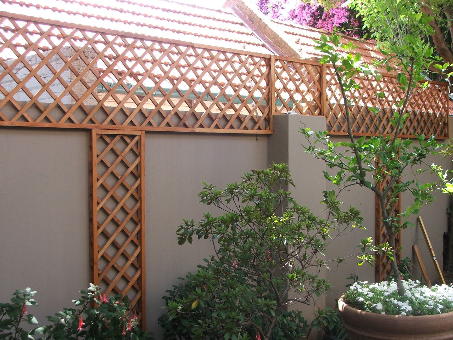 SCREEN ABOVE WALL WITH LADDERS Oxford Trellis 現代房屋設計點子、靈感 & 圖片