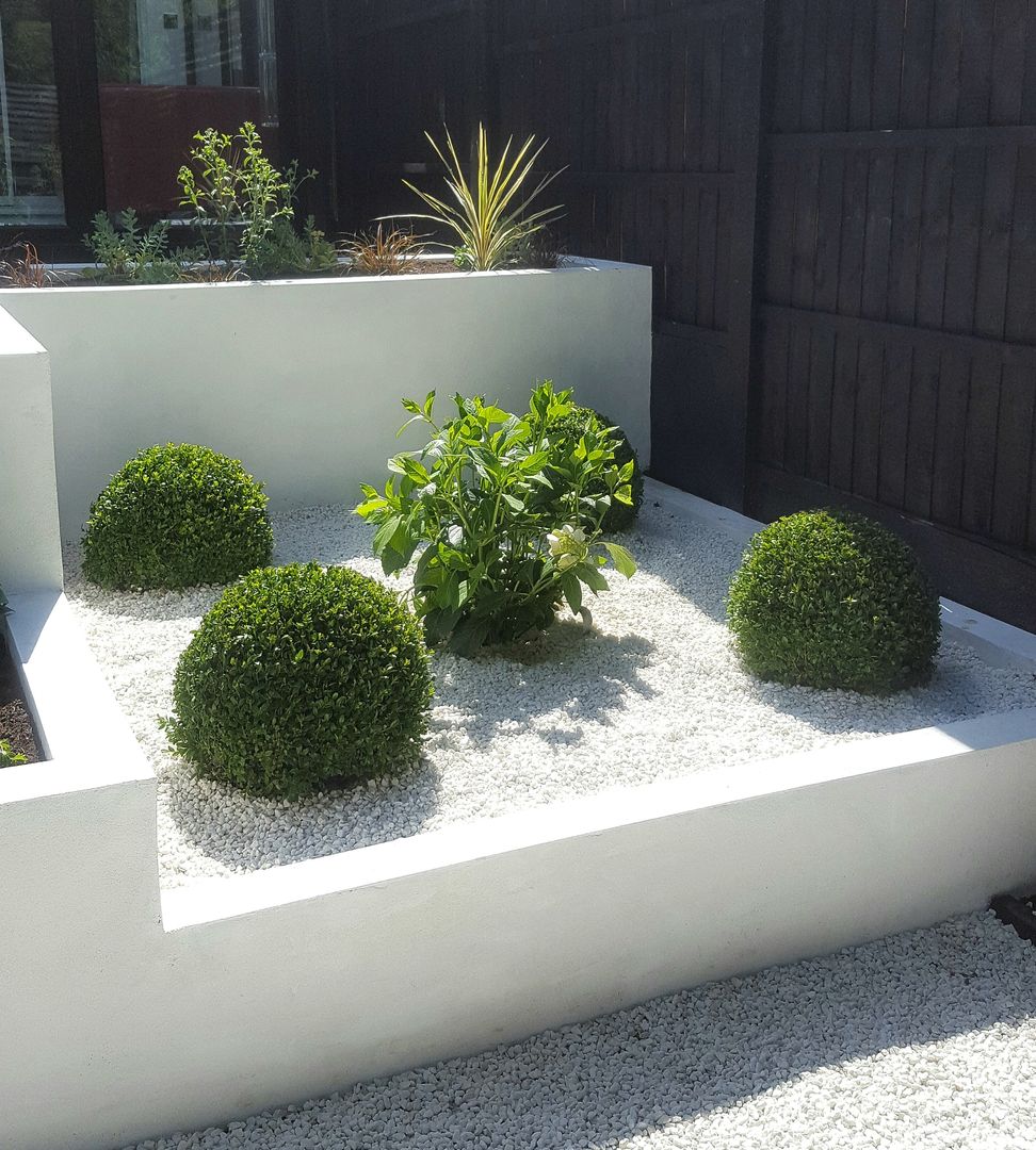 Buxus Spheres and Hydrangea Gardenplan Design Jardines de estilo moderno Planting,Buxus,White gravel