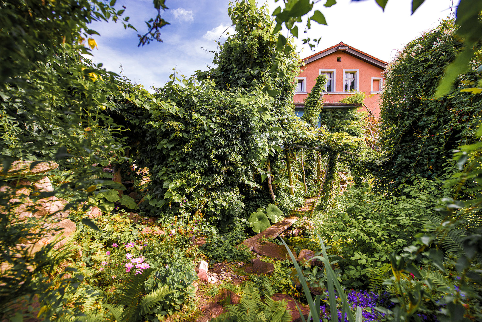 Dschungelatmosphäre durch berankte Robinienstämme Gartenarchitekturbüro Timm Tropischer Garten Naturgarten,verwunschener Garten,Kletterpflanzen,Kletterpflanzen,verwunschener Garten,Kletterpflanzen