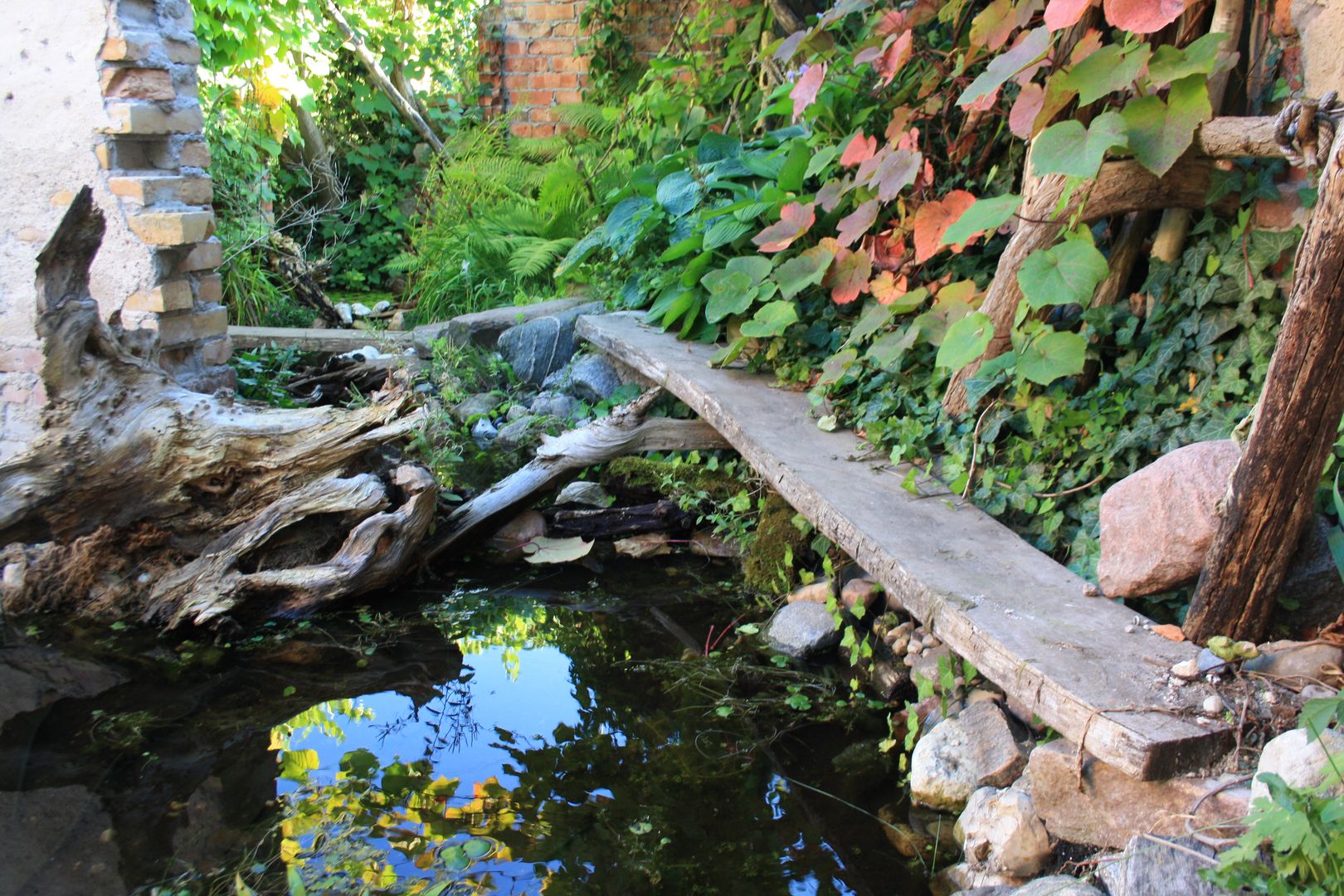 Idyllischer Naturgarten im Regenwaldstil , Gartenarchitekturbüro Timm Gartenarchitekturbüro Timm Сад