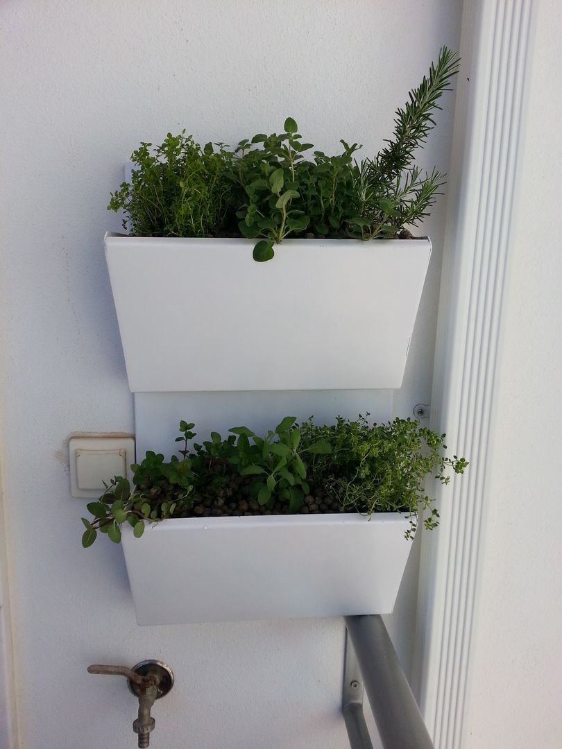 Decoração com plantas naturais, Interior Vivo Interior Vivo Śródziemnomorski balkon, taras i weranda Żelazo/Stal Rośliny i kwiaty balkonowe