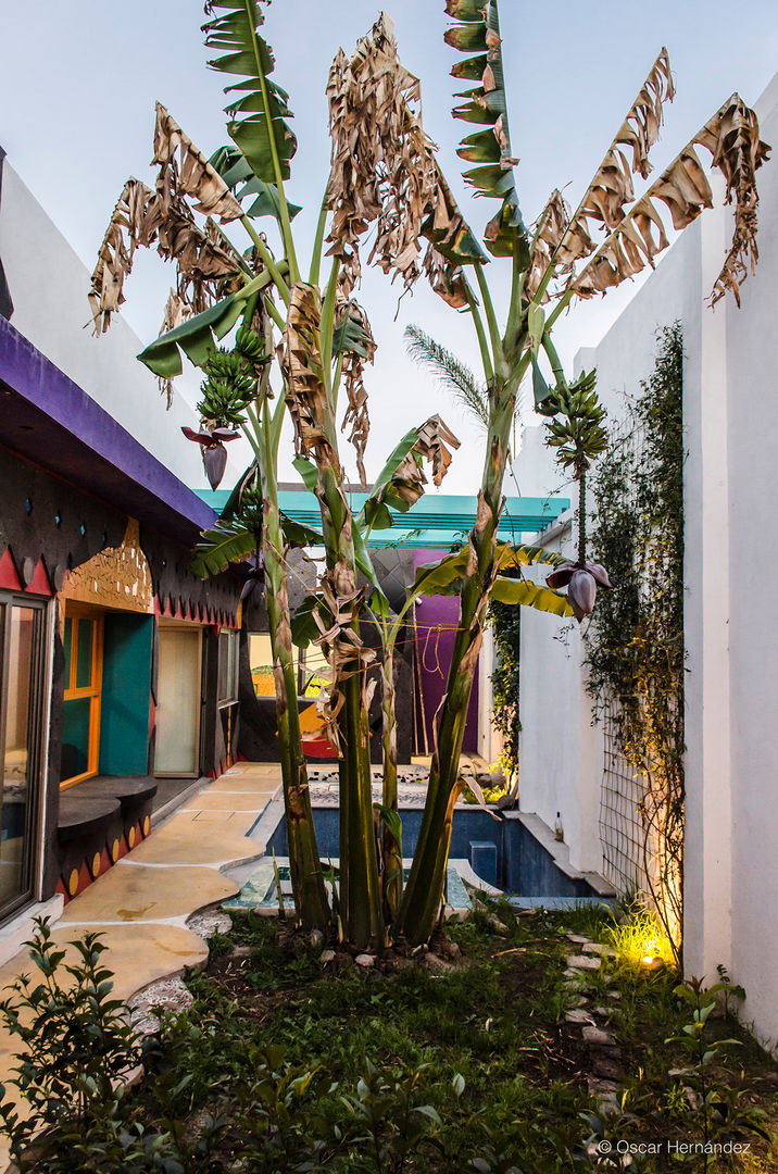 CASA BALLENA / RAUL DAVILA, Oscar Hernández - Fotografía de Arquitectura Oscar Hernández - Fotografía de Arquitectura