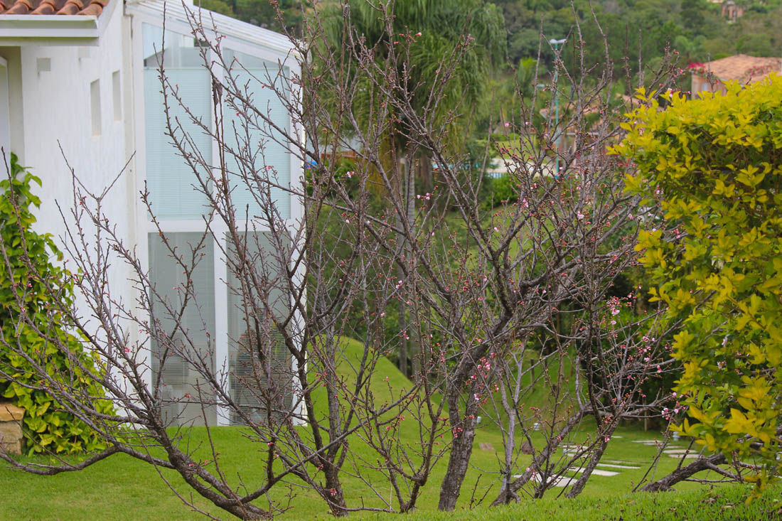 CASA DE CAMPO CONDOMÍNIO SÃO PAULO, IDALIA DAUDT Arquitetura e Design de Interiores IDALIA DAUDT Arquitetura e Design de Interiores منازل