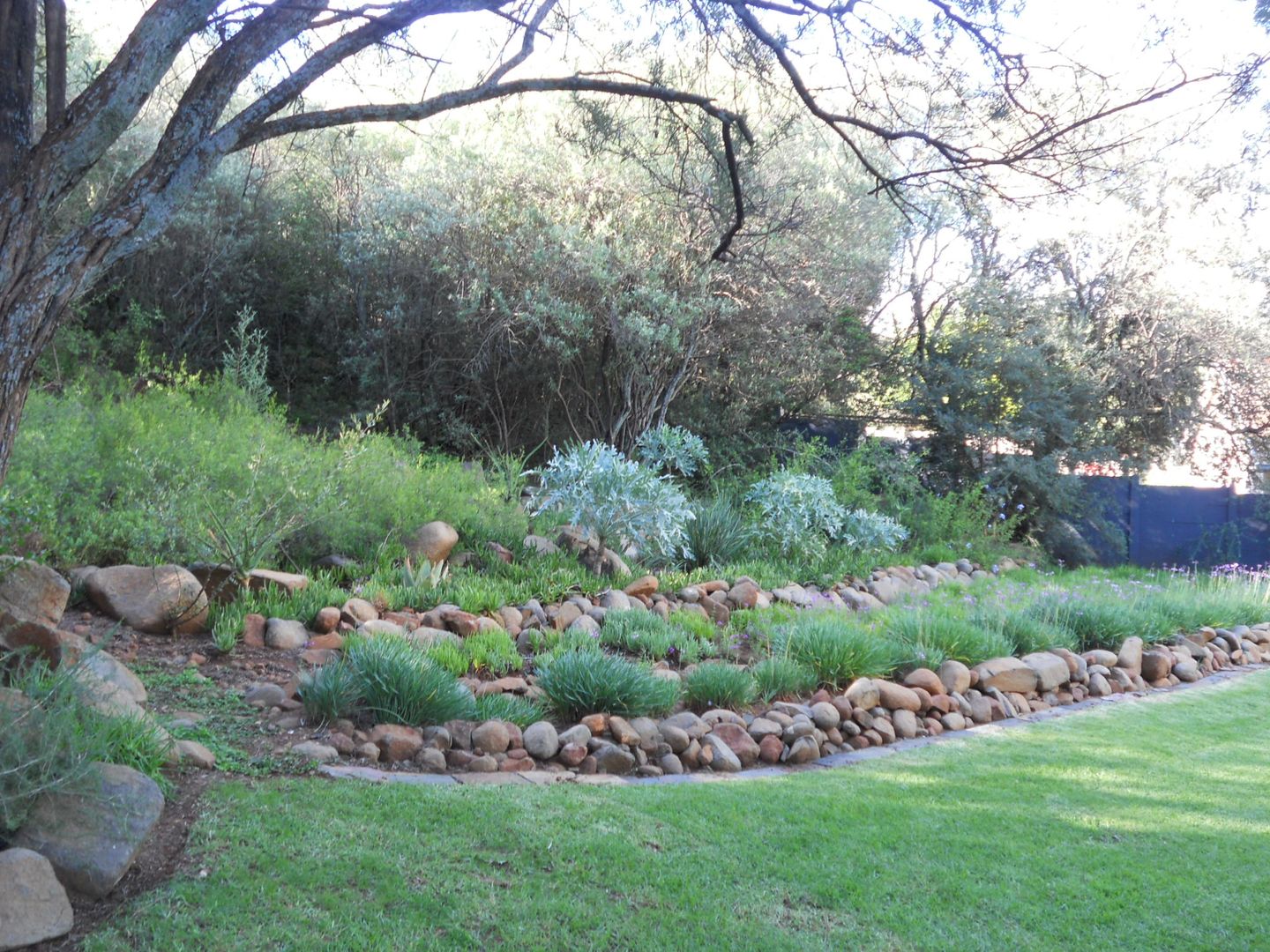 House Smit, Bloemfontein, Free State, Smit Architects Smit Architects Jardins modernos
