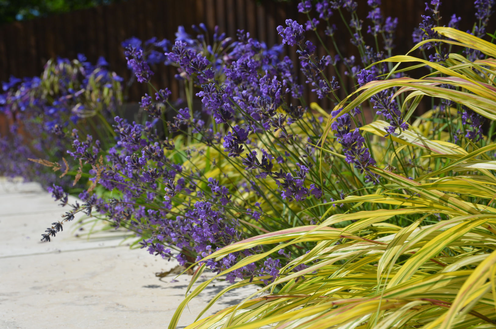 A family garden homify Jardins modernos