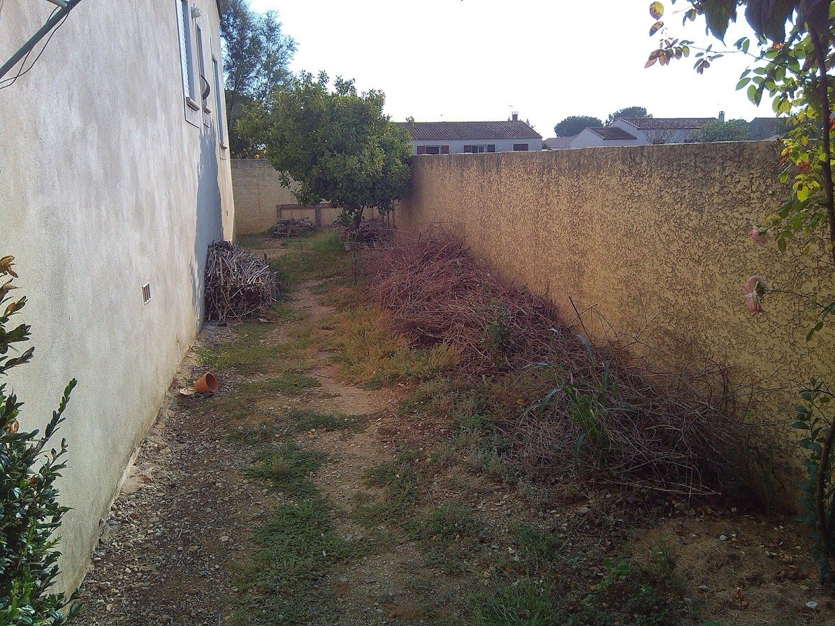 Aménagement d'un jardin ombragé, AEN Paysages AEN Paysages