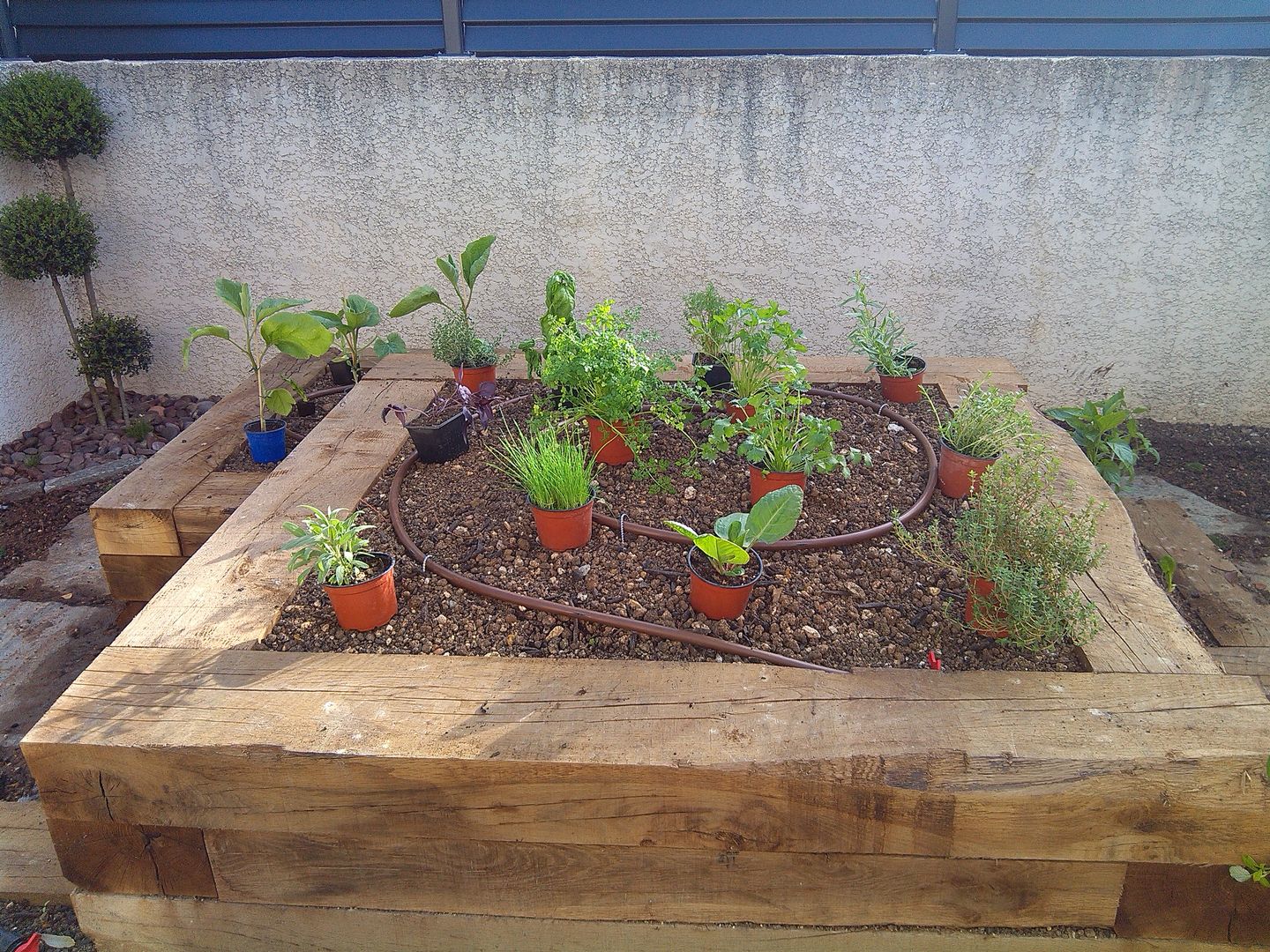 Aménagement d'un jardin ombragé, AEN Paysages AEN Paysages