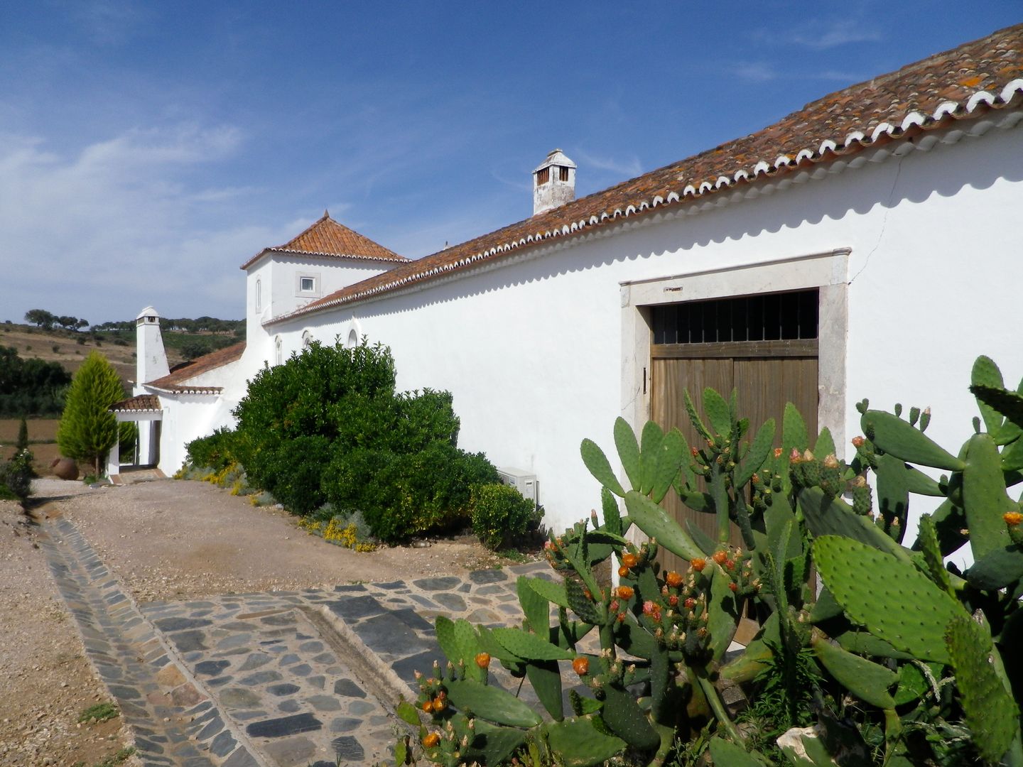 HERDADE VALMONTE HOTEL, pedro quintela studio pedro quintela studio ラスティックな 家