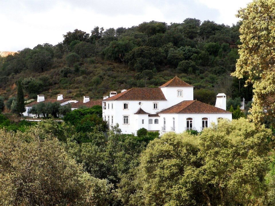 HERDADE VALMONTE HOTEL, pedro quintela studio pedro quintela studio ラスティックな 家