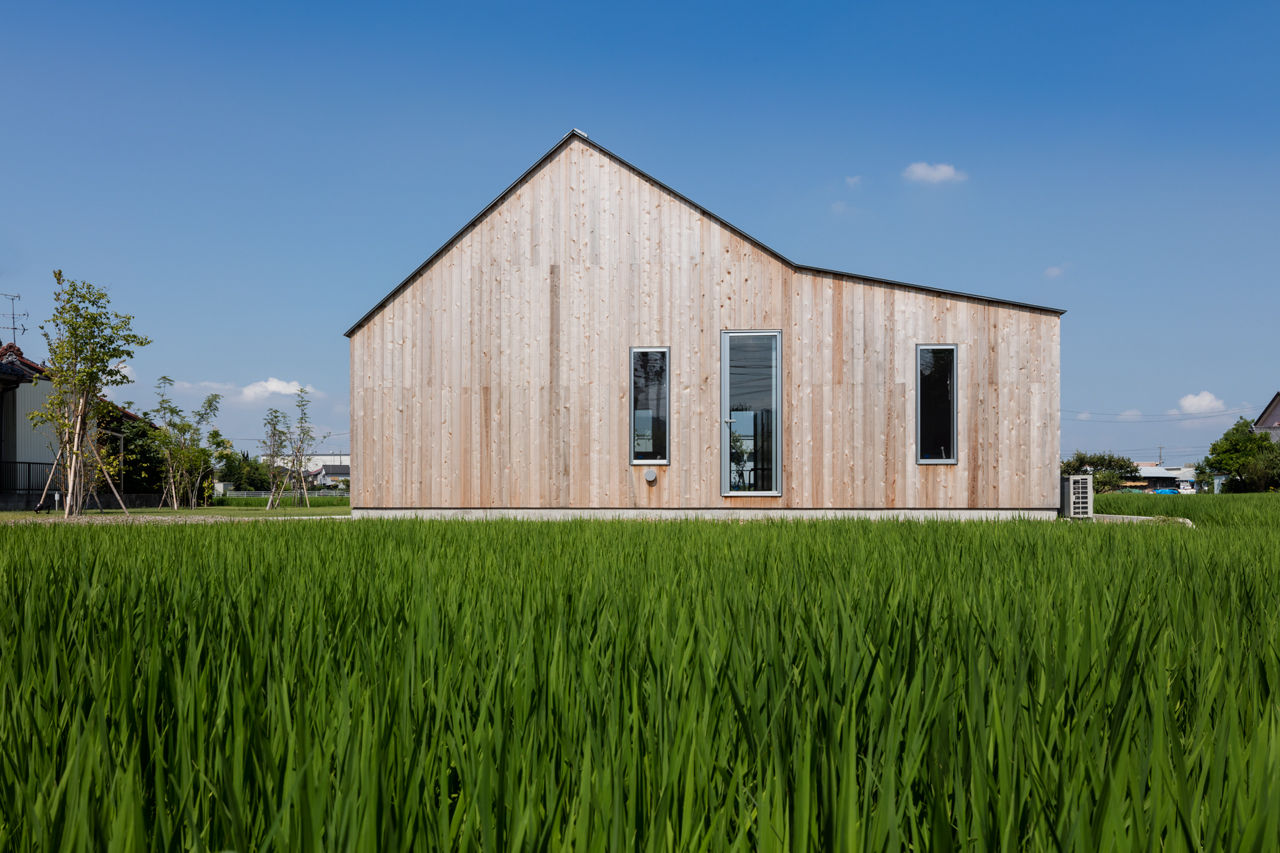 House in Inuyama, hm+architects 一級建築士事務所 hm+architects 一級建築士事務所 Eklektik Evler Ahşap Ahşap rengi