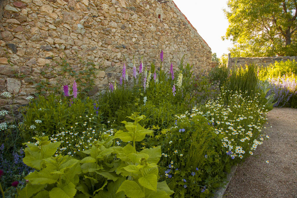 Jardín en Segovia, Planta Paisajistas Planta Paisajistas Country style garden