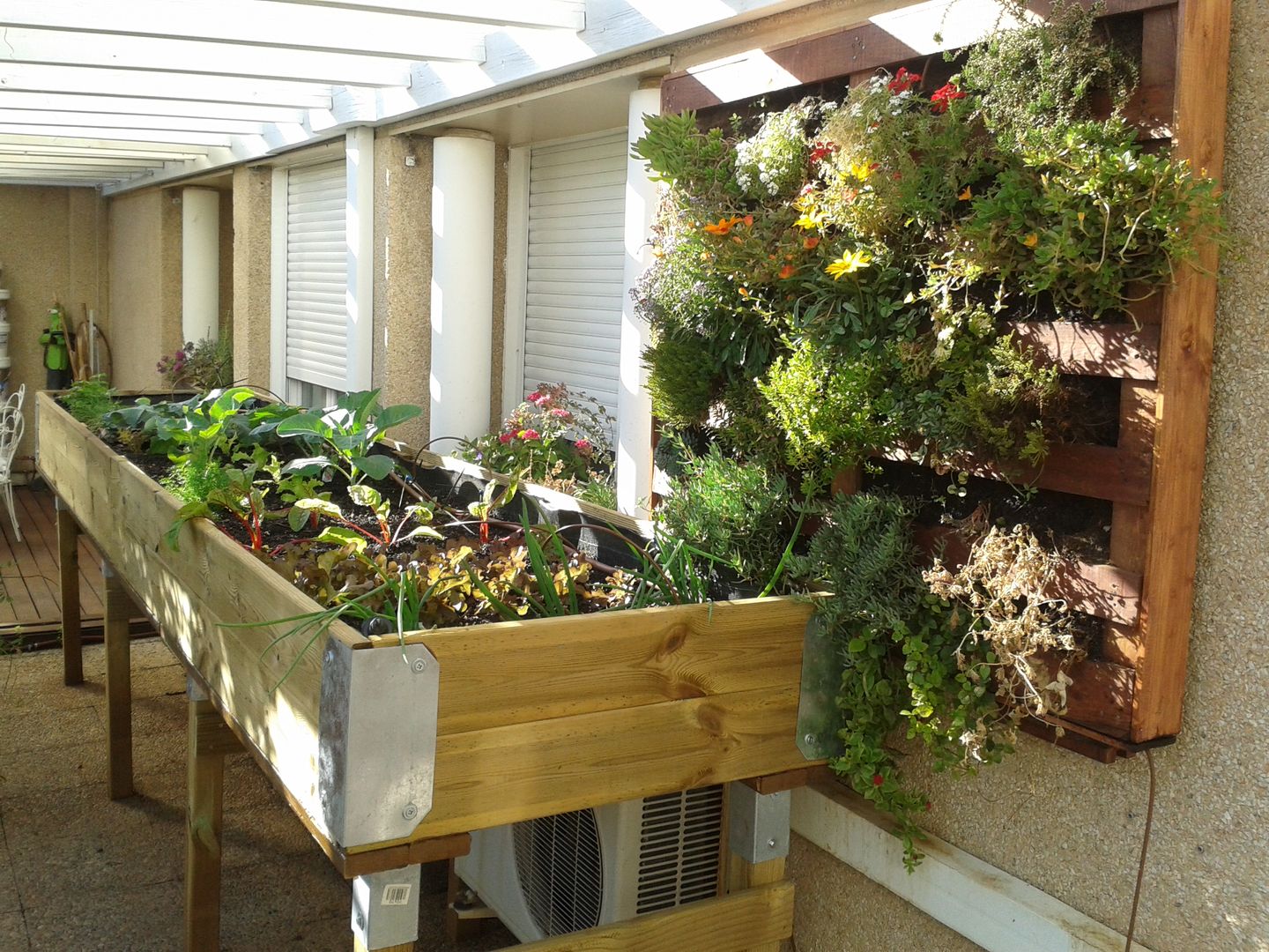 Mesa de cultivo de carpintería. Agrópolis Jardín Balcones y terrazas de estilo rústico Madera Acabado en madera Flor,Planta,Lámina,Accesorio,Madera,Arbusto,Césped,Paisaje,Edificio,planta anual