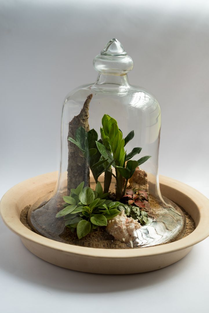 Terrariums, Your Green Canvas Your Green Canvas Taman interior Interior landscaping