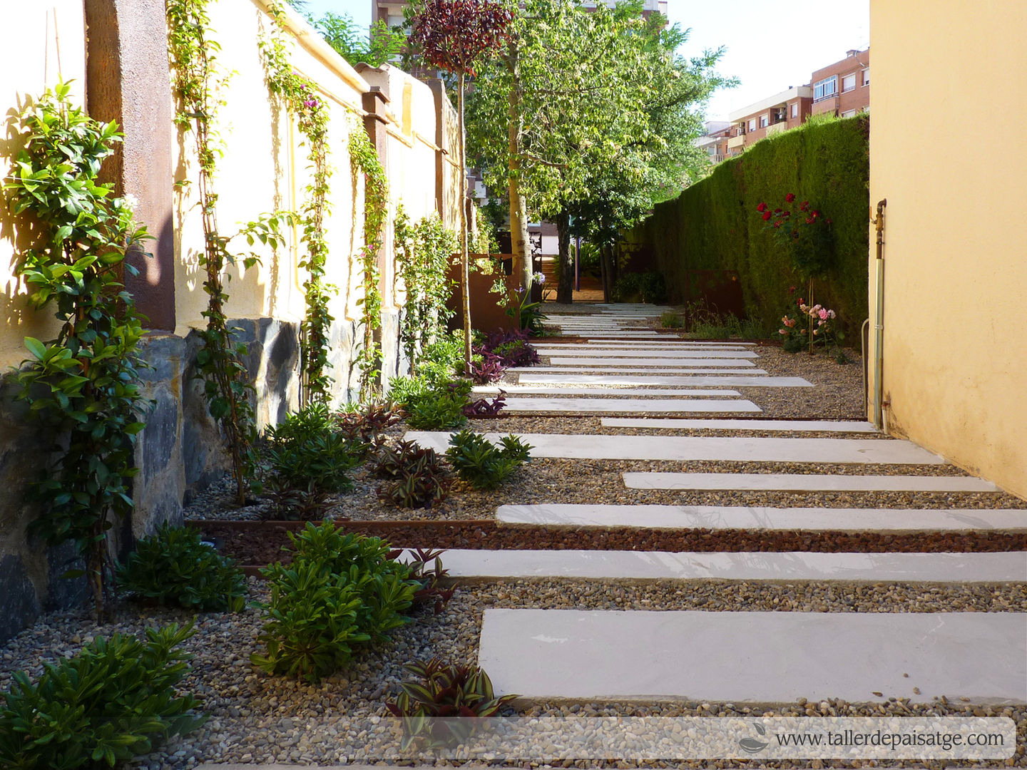 Jardín en patio en Olesa, Taller de Paisatge Taller de Paisatge Jardines de estilo minimalista