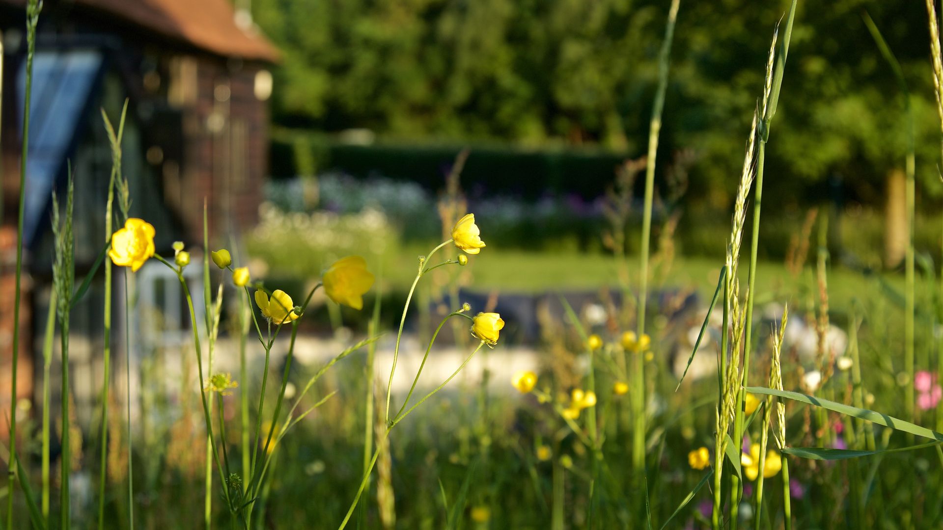 homify Jardines de estilo rural