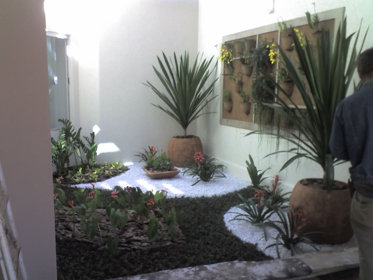 JARDIM VERTICAL, Borges Arquitetura & Paisagismo Borges Arquitetura & Paisagismo モダンな庭 植木＆花