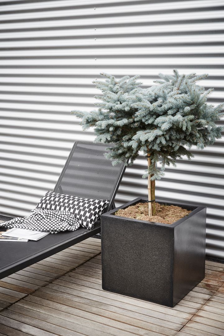 Capi Lux - Planter square Black Capi Europe Balcones y terrazas modernos: Ideas, imágenes y decoración Decoración y accesorios