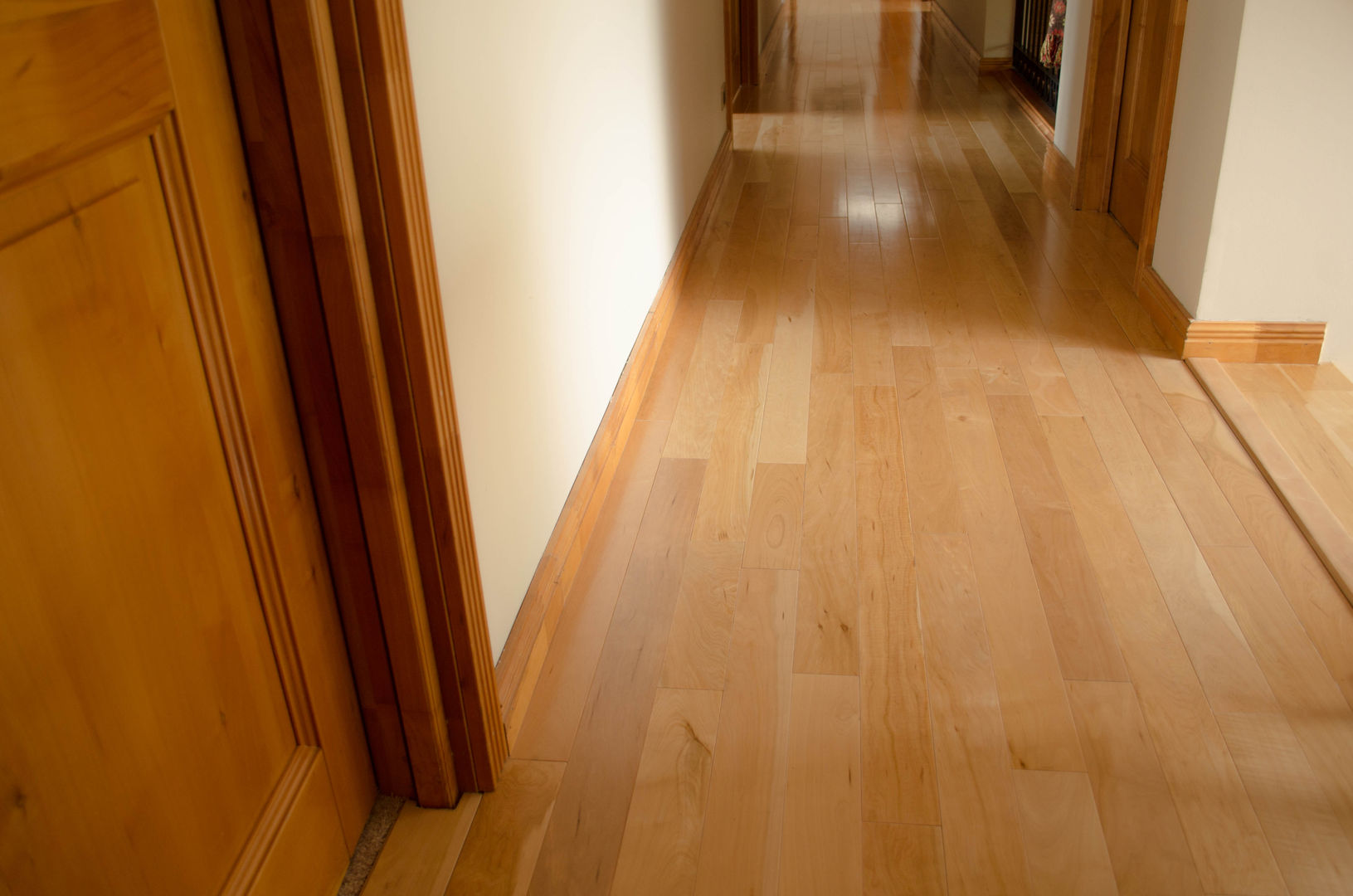 PISOS EN MADERA DE LENGA, Ignisterra S.A. Ignisterra S.A. กำแพง ไม้ Wood effect