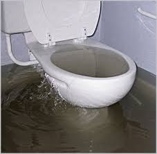 Toilet unblocking project Plumber Auckland Plumbing services,unblocking pipes,plumbing system repair