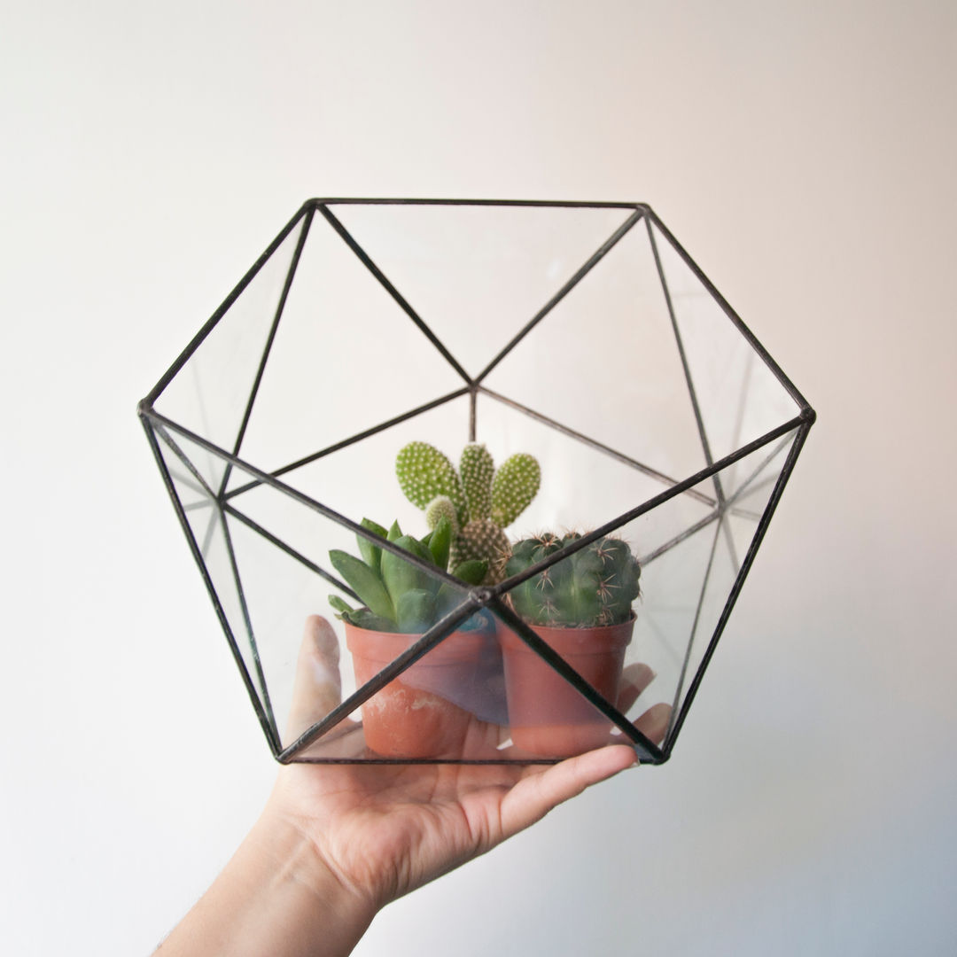Terrario Icosaedro, ZetaGlass ZetaGlass Сад в стиле модерн Стекло Растения