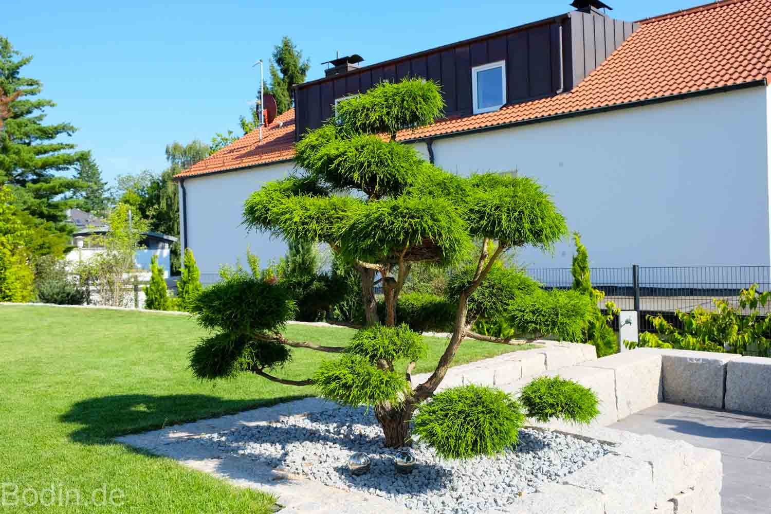 Modern und minimalistisch: Gartengestaltung im Bauhausstil, Bodin Pflanzliche Raumgestaltung GmbH Bodin Pflanzliche Raumgestaltung GmbH Garden