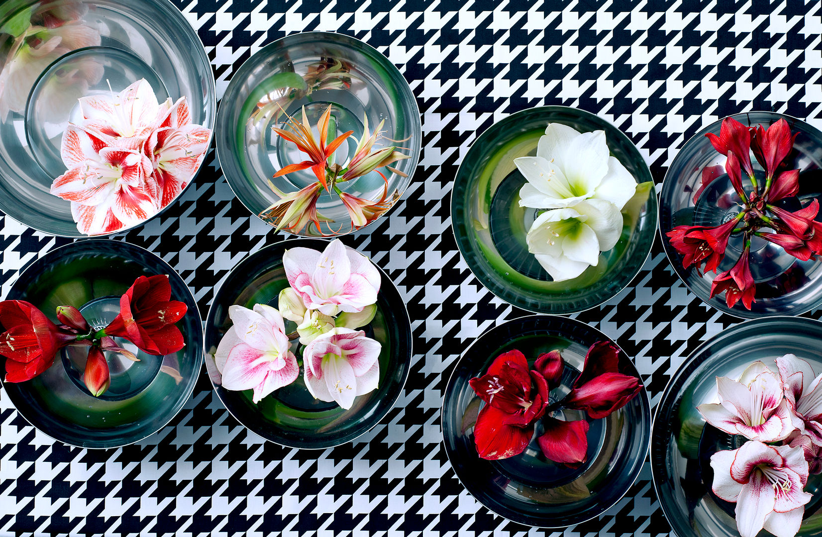 WINTERBLUMEN, Tollwasblumenmachen.de Tollwasblumenmachen.de Moderne woonkamers