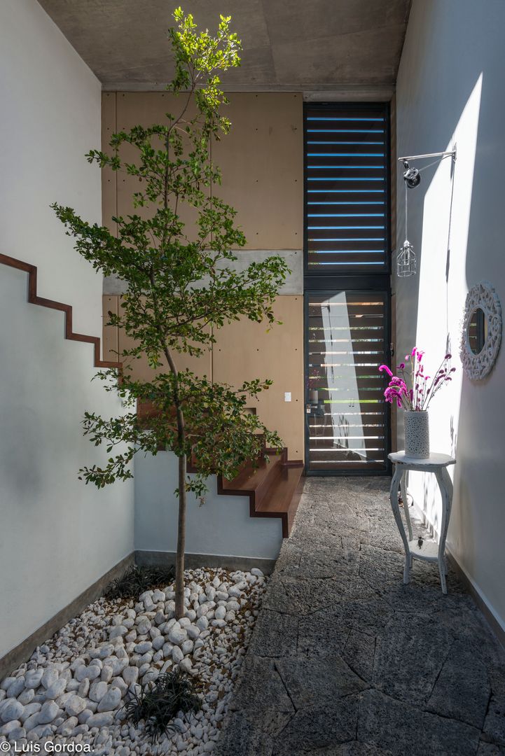 Arbol interior el corazón de la casa arquitecturalternativa Pasillos, vestíbulos y escaleras de estilo moderno