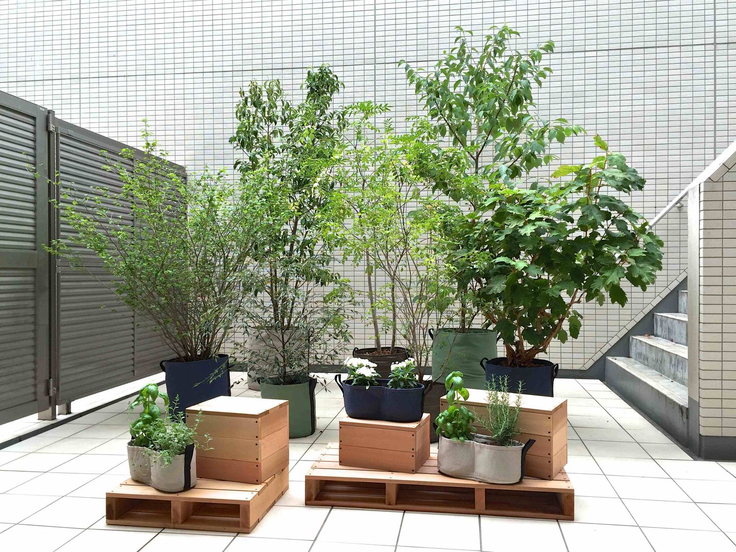 大田区のテラスガーデン, Shikinowa Design Shikinowa Design Jardines modernos: Ideas, imágenes y decoración